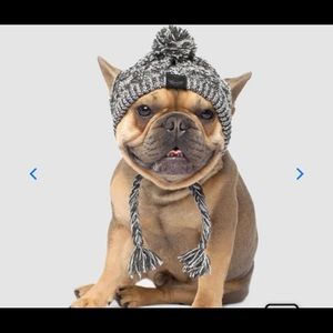 Dog hat! Size large
